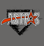 Astros Baseball Black Chalked Home Plate