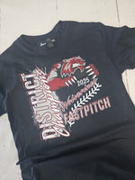 2025 Fast Pitch District Championship tees